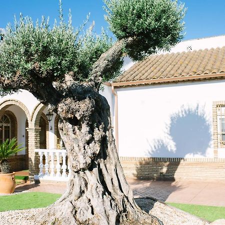 Casa Luxury "El Olivo De Cordoba" Con Jacuzzi Y Parking Privado Guest House Exterior photo