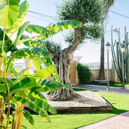 Casa Luxury "El Olivo De Cordoba" Con Jacuzzi Y Parking Privado Guest House Exterior photo