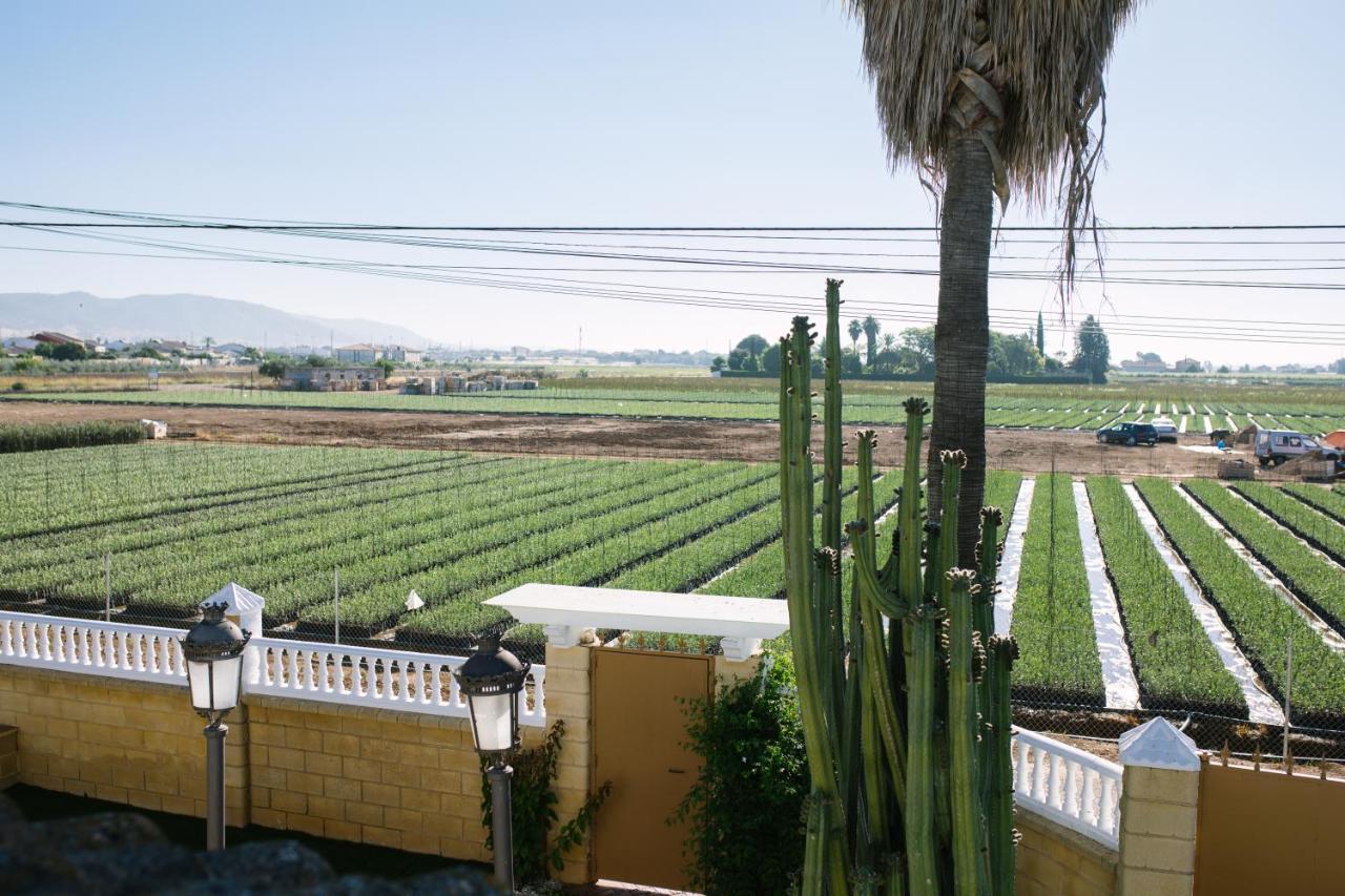 Casa Luxury "El Olivo De Cordoba" Con Jacuzzi Y Parking Privado Guest House Exterior photo